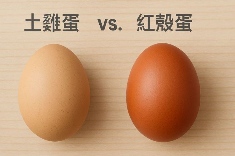 蛋殼顏色有差嗎？土雞蛋 vs 紅殼蛋的營養比較全解析