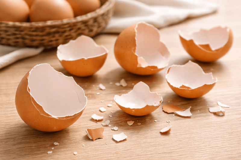 蛋殼薄是不是品質差？專業解析厚薄差異與安全性