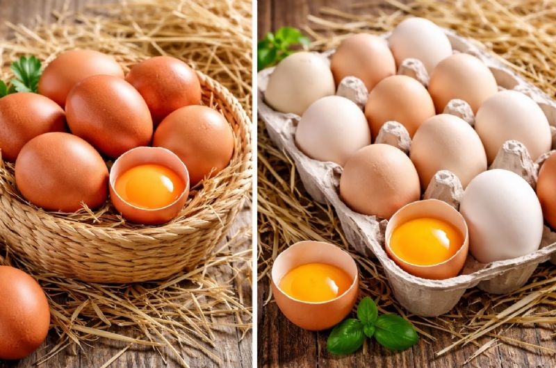 市面土雞蛋這麼多，如何分辨真假土雞蛋？