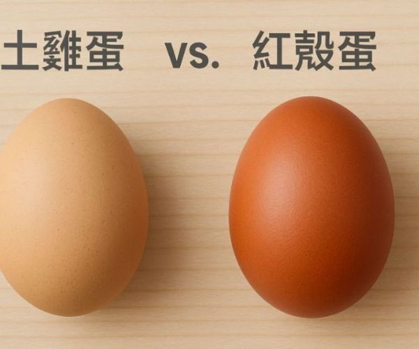 蛋殼顏色有差嗎？土雞蛋 vs 紅殼蛋的營養比較全解析