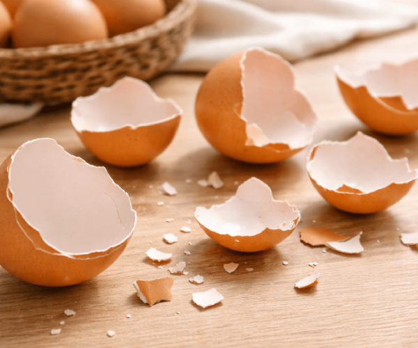 蛋殼薄是不是品質差？專業解析厚薄差異與安全性