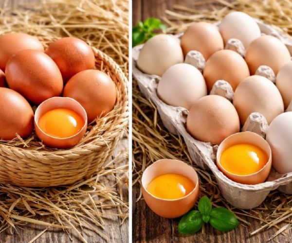 市面土雞蛋這麼多，如何分辨真假土雞蛋？