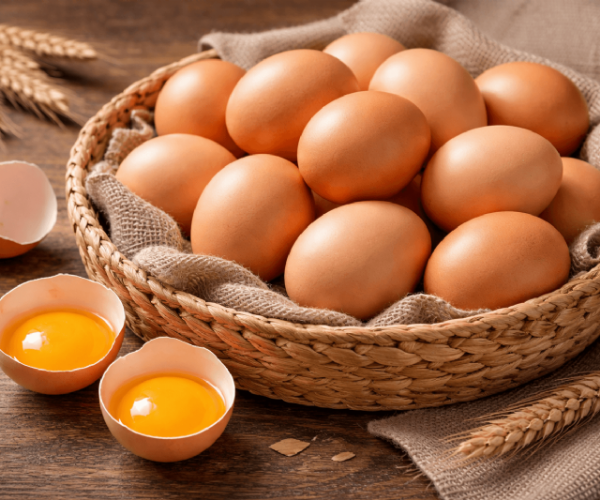 什麼有些土雞蛋殼比較黃？影響蛋殼顏色的原因解析